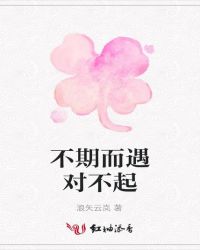 不期而遇——对不起封面