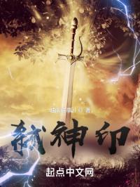 弑神印封面