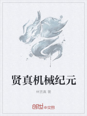 贤真机械纪元封面