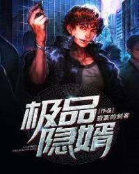 极品隐婿封面