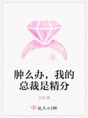 肿么办，我的总裁是精分封面