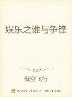 娱乐之谁与争锋封面