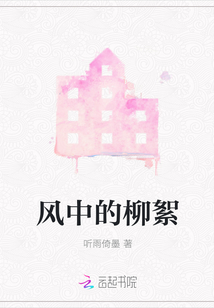风中的柳絮封面