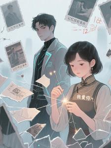 记忆缝补师与时间锚点的守护封面