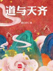道与天齐封面