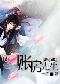 [陆小凤]账房先生封面