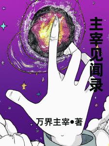 主宰见闻录封面