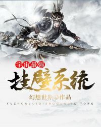 宇宙最强挂壁系统封面