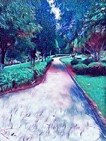 慢步惊华之夫人真不同凡响封面