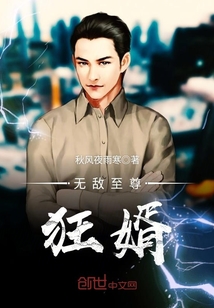 无敌至尊狂婿封面
