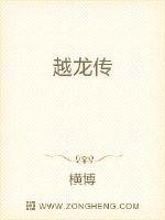 越龙传封面
