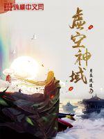 虚空神域封面