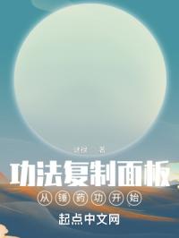 我有功法复制面板封面