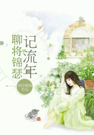 聊将锦瑟记流年封面