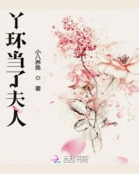 丫环当了夫人封面