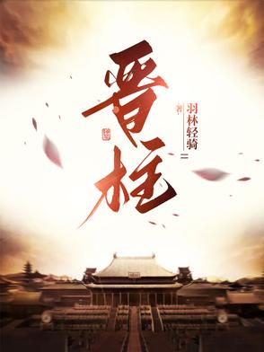 晋柱封面