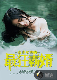 高冷女神的最狂霸婿封面