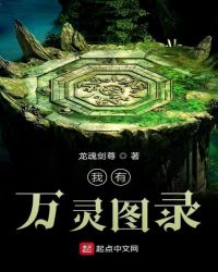 我有万灵图录封面