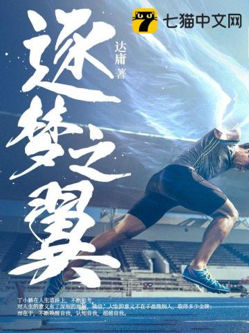 逐梦之翼封面