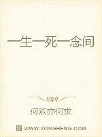 一生一死一念间封面