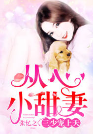从心小甜妻：三少宠上天封面