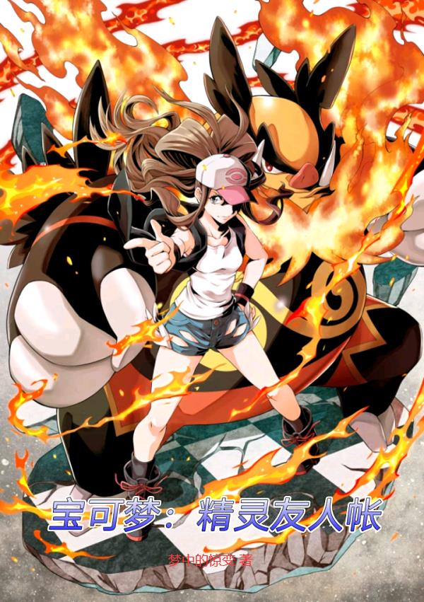 宝可梦：精灵友人帐封面