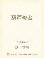 葫芦修者封面