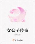 女公子传奇封面