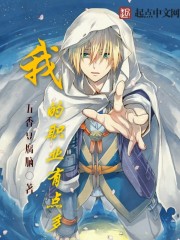 我的职业有点多封面