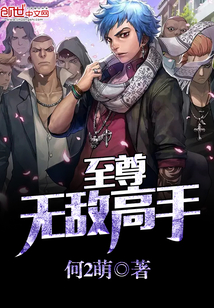 至尊无敌高手封面