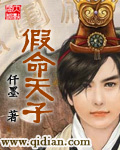 假命天子封面
