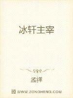 冰轩主宰封面