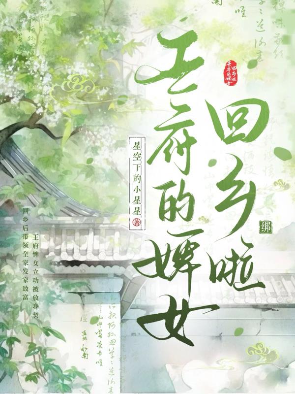 王府的婢女回乡啦封面