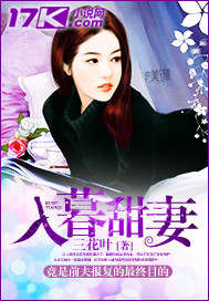 入暮甜妻封面