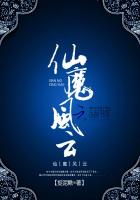 仙魔风云封面