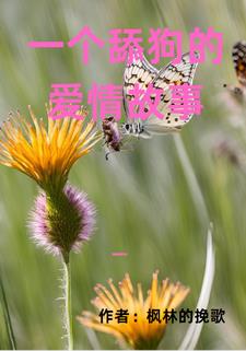 一个舔狗的爱情故事封面