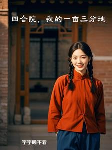 四合院：我的一亩三分地封面