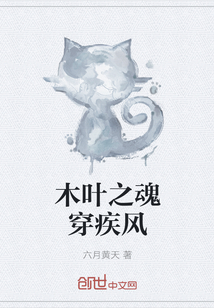 木叶之魂穿疾风封面