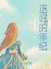 正好的年纪封面