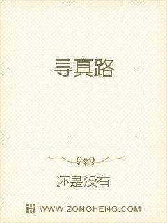 寻真路封面