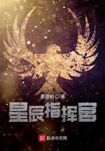星辰指挥官封面