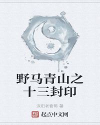 野马青山之十三封印封面
