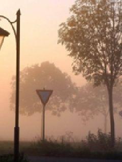 香径独徘徊封面