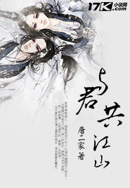 与君共江山封面