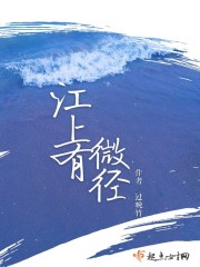 江上有微径封面