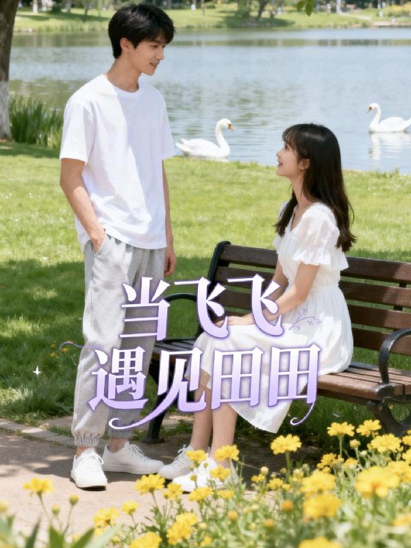当飞飞遇见田田封面