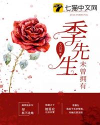 未曾拥有季先生封面