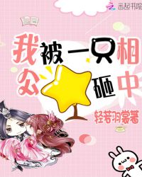 我被一只相公砸中封面