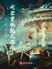 奇观误国：我要重振魏武雄风封面