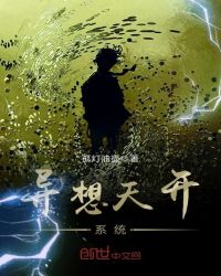 异想天开系统封面